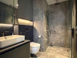 Irwell Hill Residences (D9), Apartment #521273531